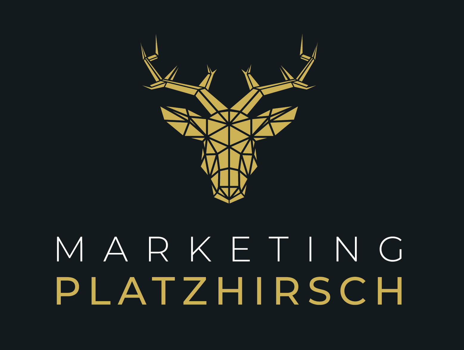 Marketing Platzhirsch